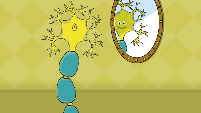 neuroni specchio immaginazione